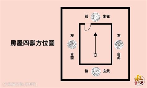 大門虎邊碰壁化解|【居家風水】虎邊碰壁如何化解？鞋櫃位置影響全家運勢！